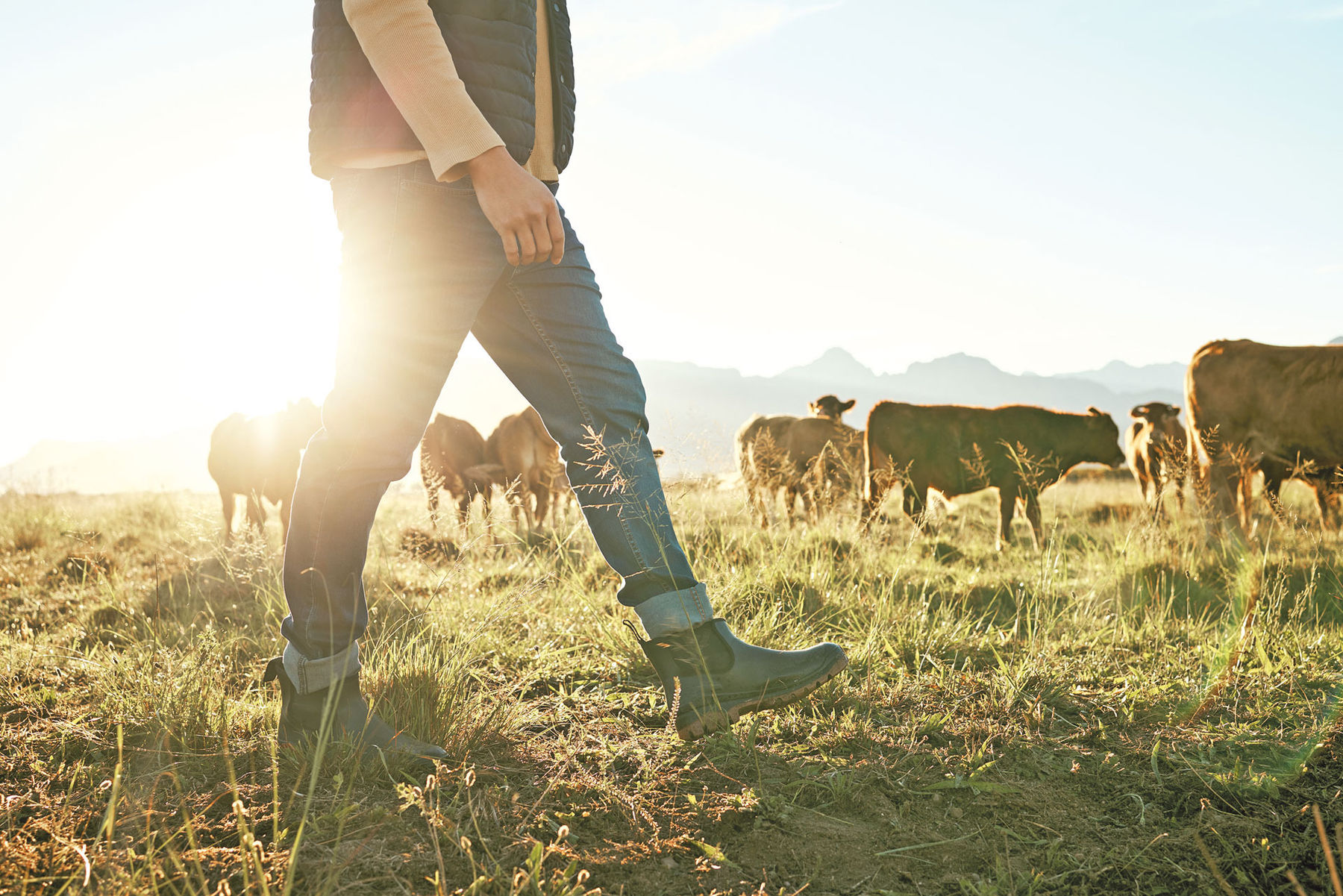 Anpacken kann auch bedeuten, einen Schritt  zurückzugehen .jpg © Adobe Stock