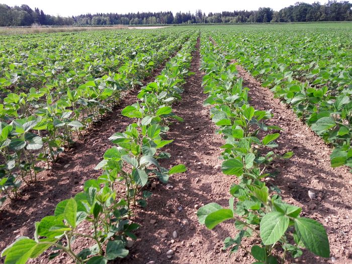 [1767778726977989_1.jpg]