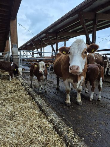 20251108_154617 (Kopie).jpg © BRH OÖ