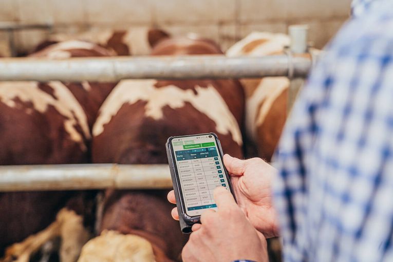 Handy-App im Stall.jpg © Georg Pomaßl/LFI Niederösterreich