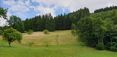 Biodiversitätsfläche_Grünland_Urltal_Nähe_WY © Elisabeth Kerschbaumer/LK Niederösterreich