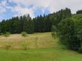 Biodiversitätsfläche_Grünland_Urltal_Nähe_WY © Elisabeth Kerschbaumer/LK Niederösterreich