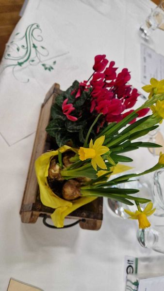 Tag der Bäuerin 2026 ©&nbsp;Die Bäuerinnen im Bezirk Neunkirchen 