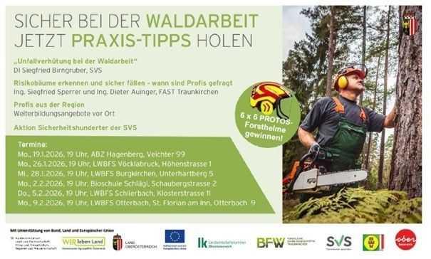 Sicher bei der Waldarbeit.jpg © Land OÖ