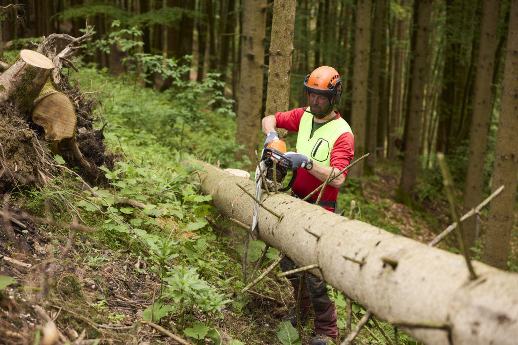Forstarbeit3_LK OÖ_klein.jpg © Landwirtschaftskammer OÖ