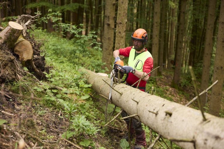 Forstarbeit3_LK OÖ_klein.jpg © Landwirtschaftskammer OÖ