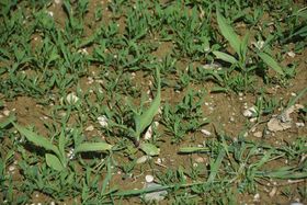  &copy; LK OÖ/Köppl