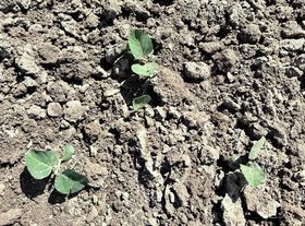  &copy; LK OÖ/Kastenhuber