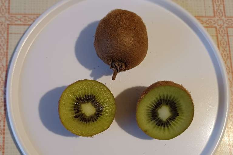 Kiwi.jpg © Strebl/LK OÖ