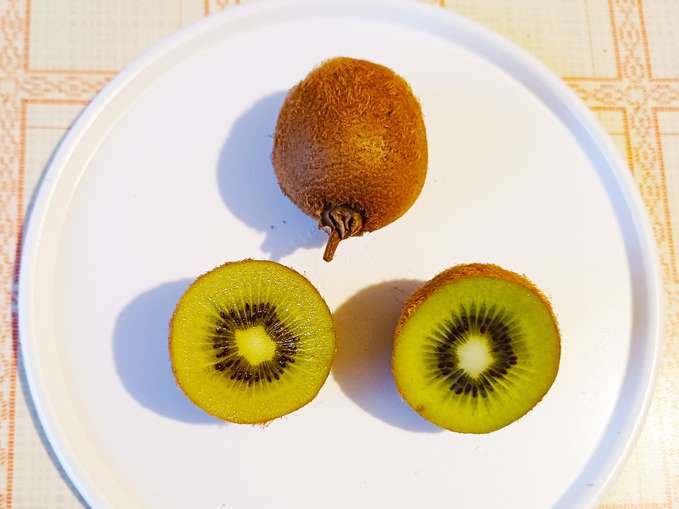 GARTENTIPP_ Kiwi_20251211_093533 b.jpg © LK OÖ/Strebl