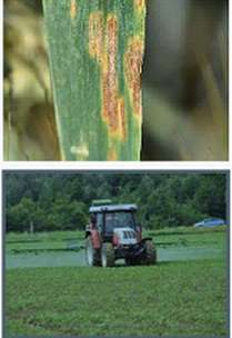 OÖ Landes-Pflanzenschutztag.jpg