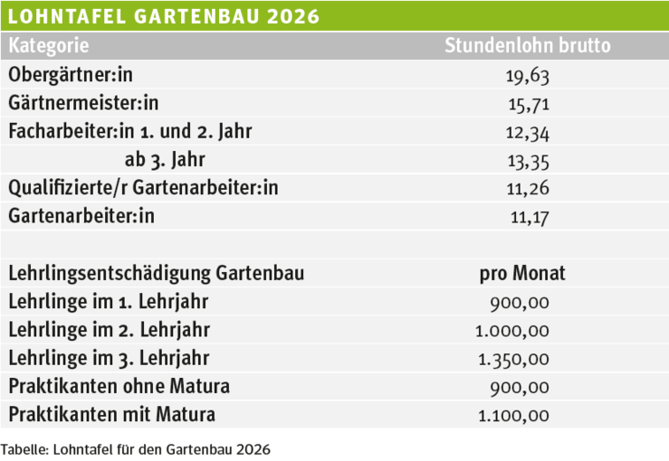 Lohntafel GB 2026.png © LK Wien