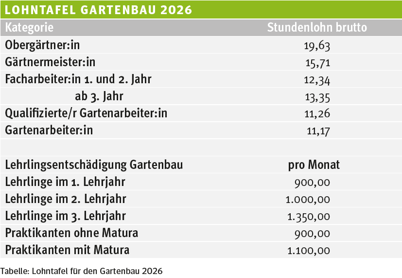 Lohntafel GB 2026.png © LK Wien
