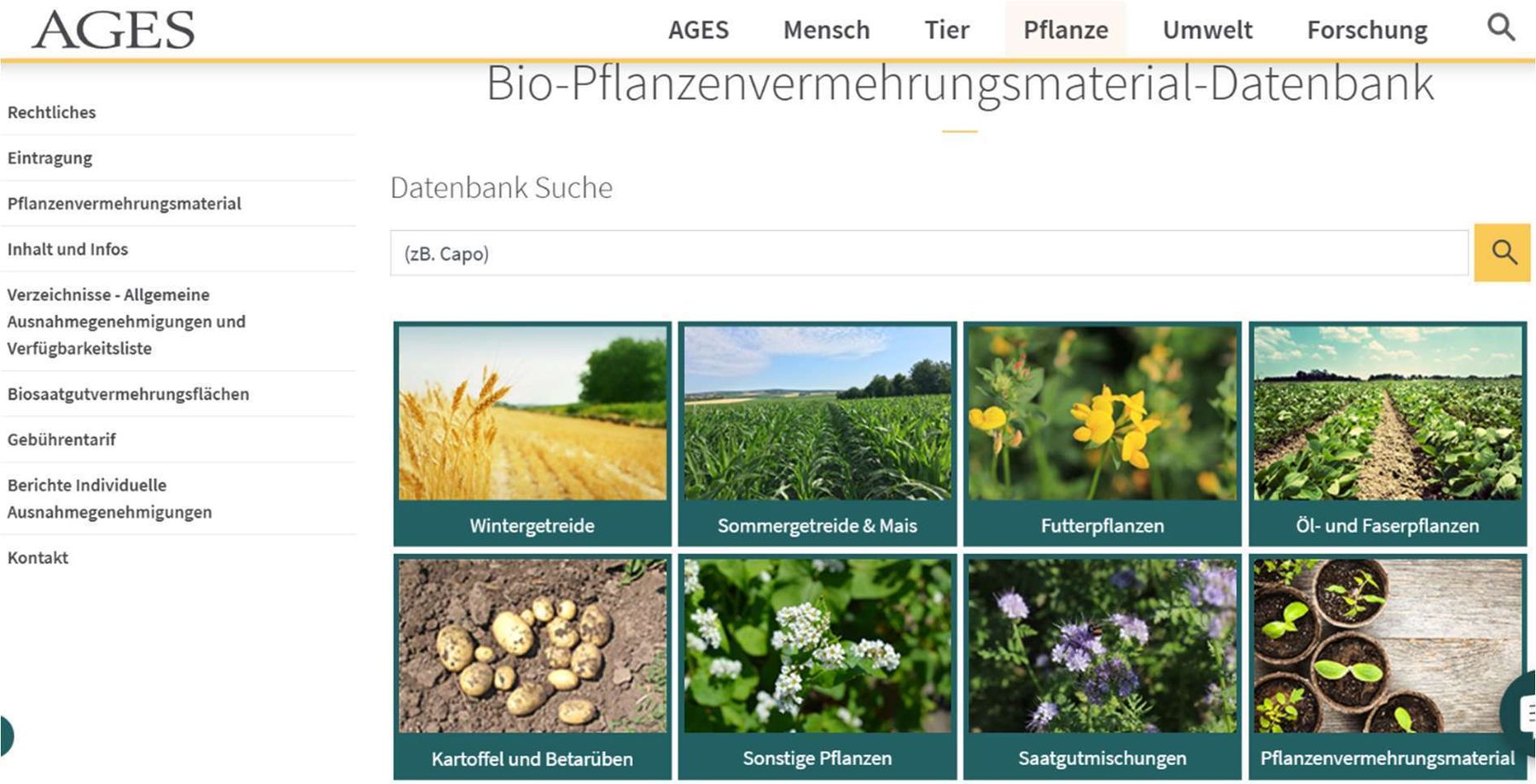 infoblitz-12_25 (1).jpg © screenshot