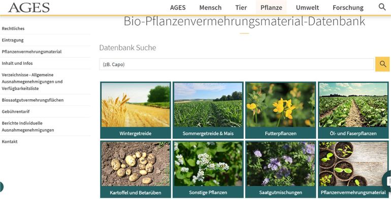 infoblitz-12_25 (1).jpg © screenshot