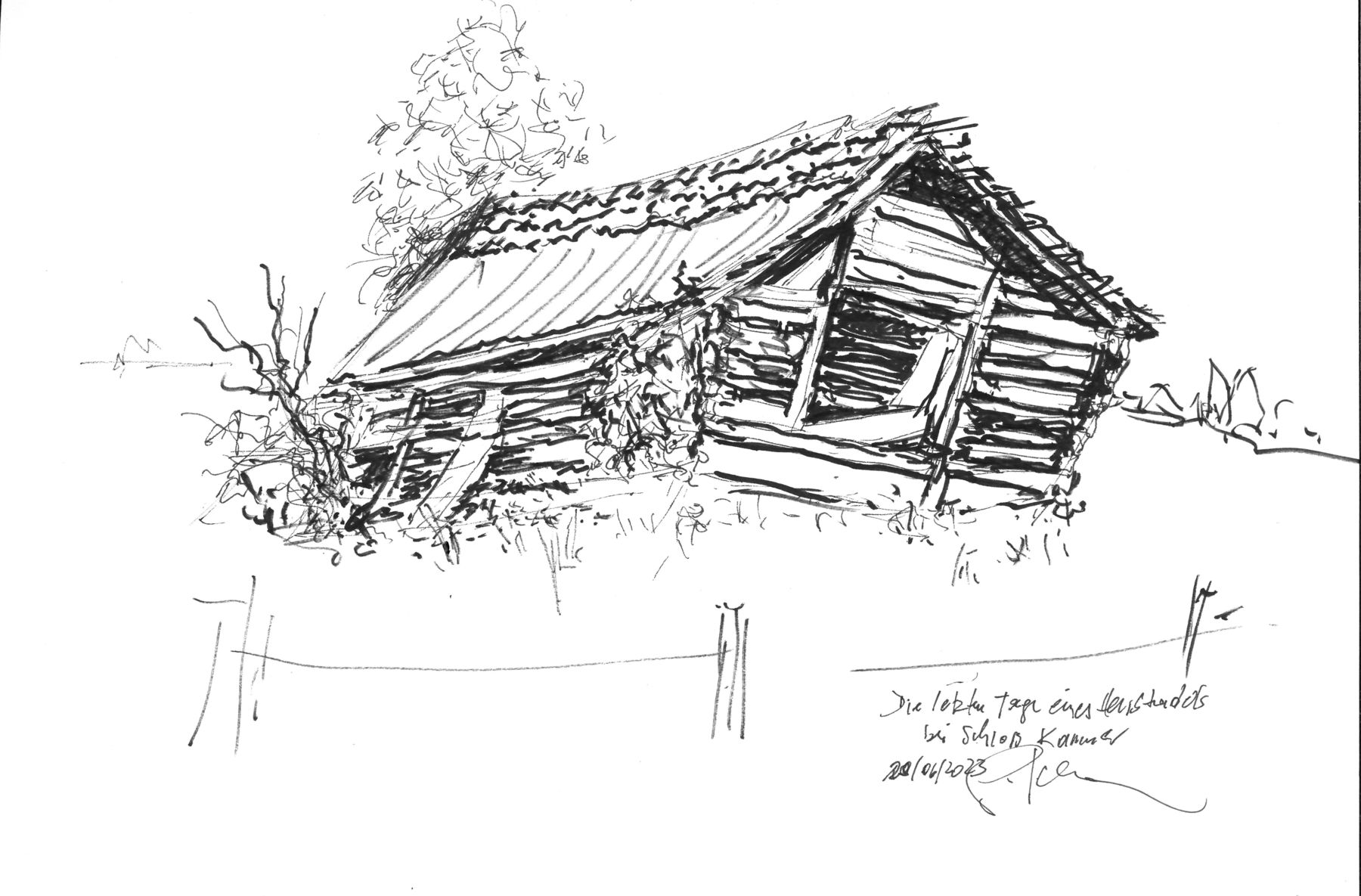 MX-2614N_20240423_085502_021(2)res..jpg © Dürnberger