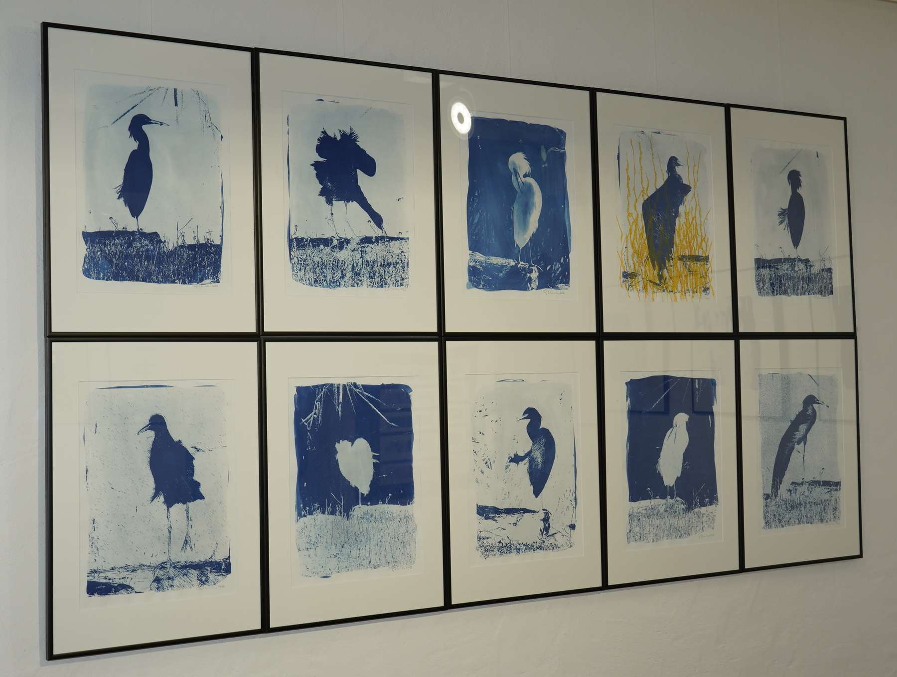 _DSC1588.jpg © Dürnberger