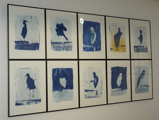 _DSC1588.jpg © Dürnberger