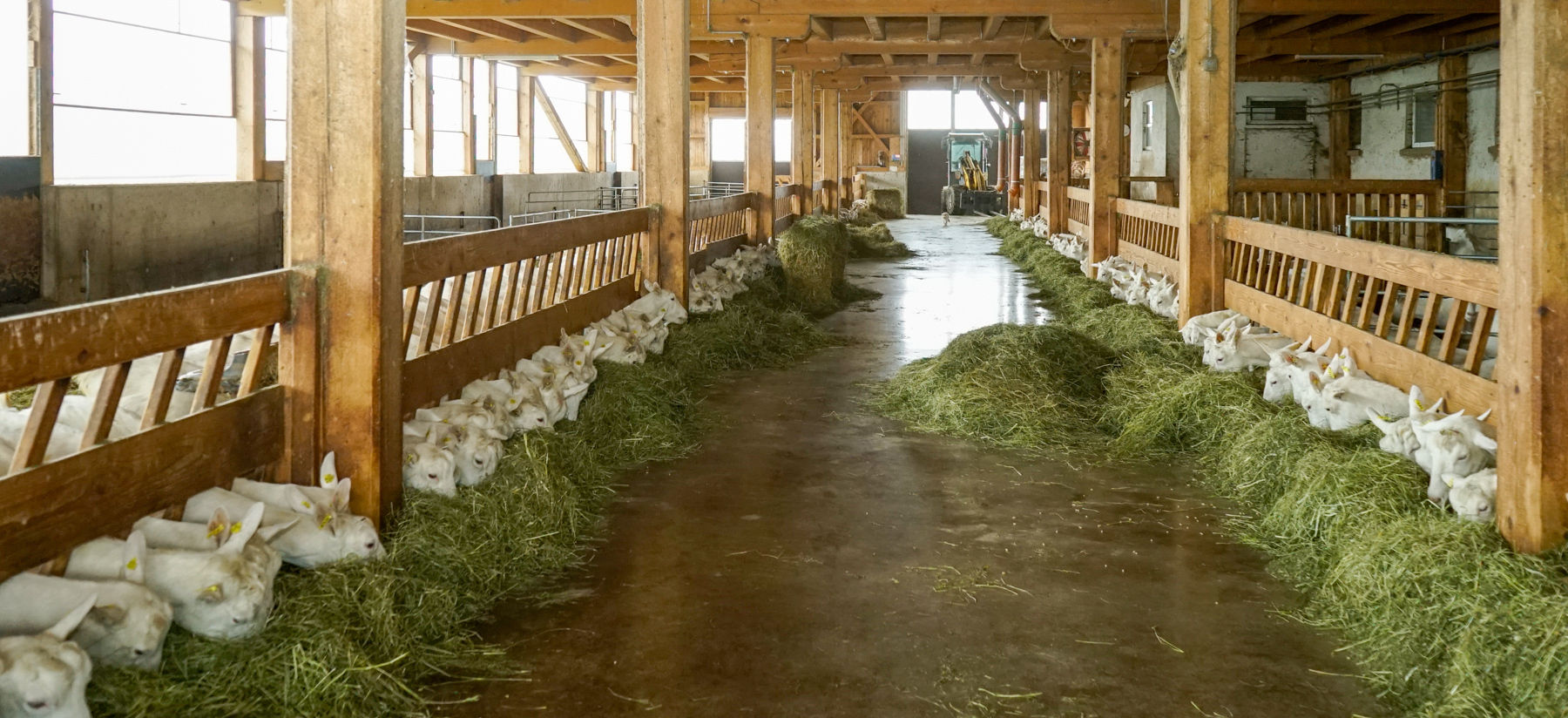 Erste  Saane  bei Qualität, Leistung und Management.jpg © Etter