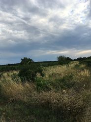 Klöckl_Adaptierung Bgld. WB-Gesetz.jpg © ©Klöckl