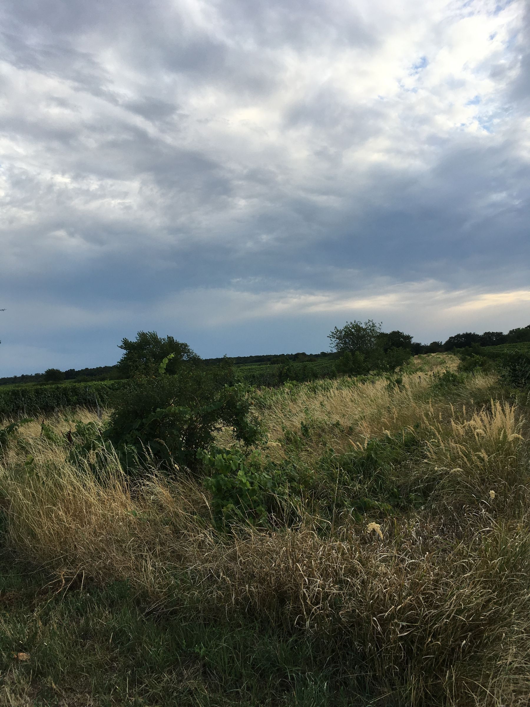 Klöckl_Adaptierung Bgld. WB-Gesetz.jpg © ©Klöckl