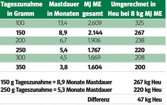 Praxisbeispiel.jpg © Archiv