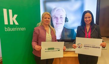 [1768381051845339.jpg]