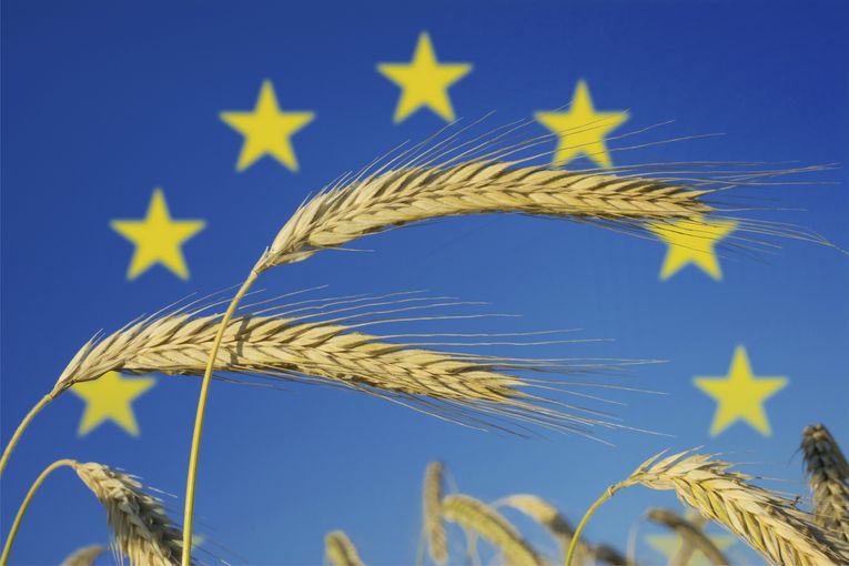 GAP_AdobeStock_1229328312.jpg © stock.adobe.com