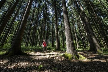 [1768383226521140.jpg]