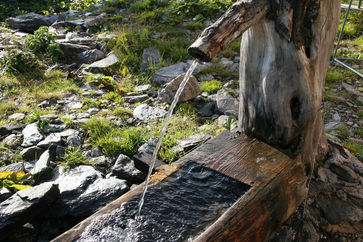 [1768383500616189.jpg]