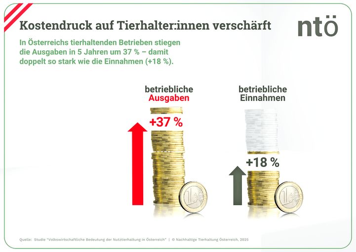 Ausgaben-Einnahmen.jpg © NTÖ