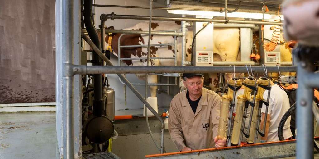 MLK@Daniela_Koeppl.jpg © Daniela Köppl