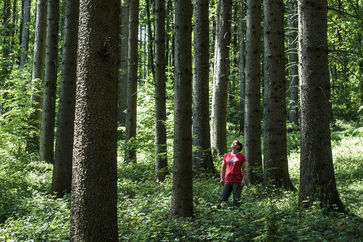 [1768393372331813.jpg]