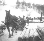 Leogang1.jpg © Archiv