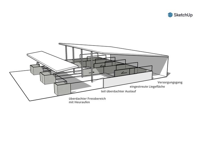 Gruppenpaddockboxen2.jpg © LK Niederösterreich