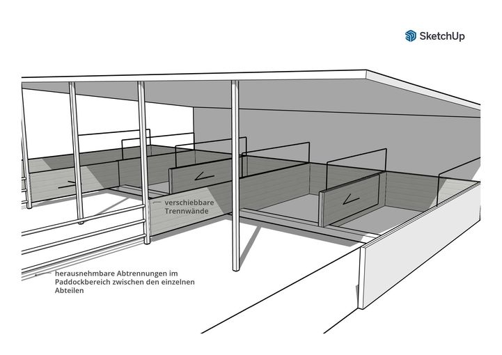 Gruppenpaddockboxen1.jpg © LK Niederösterreich