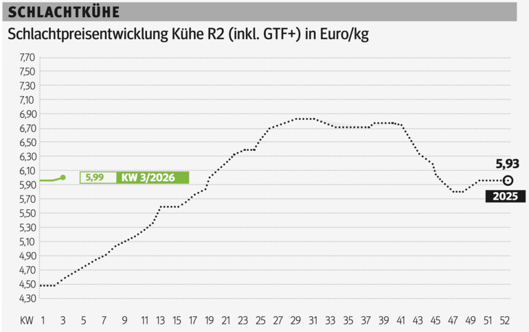 Schlachtkuhgrafik KW 3.png © Grafik RZV