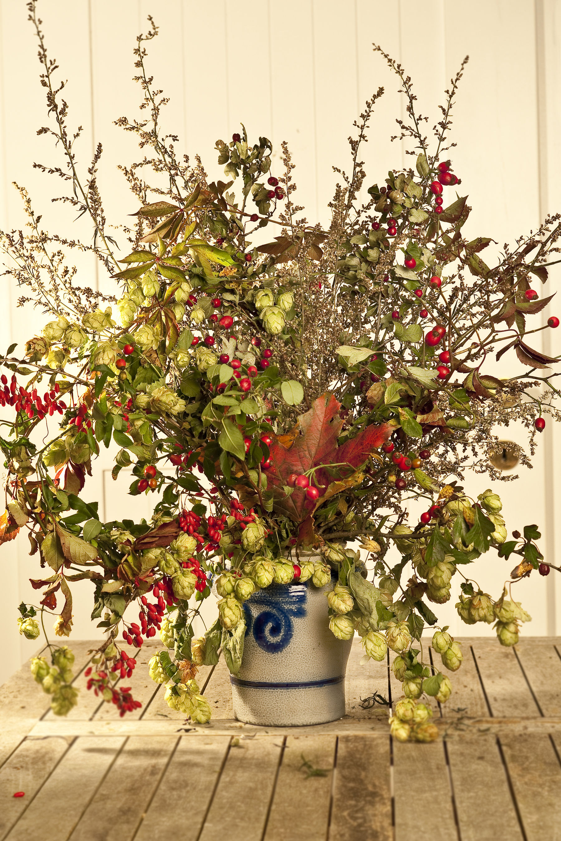 DSC_2640.jpg © Fotos aus den Büchern von Elisabeth Mayer