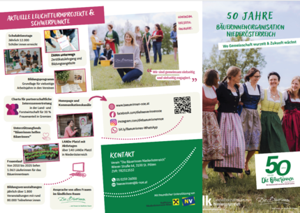 [1768897586417549.png]