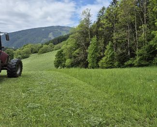 Grünland gemäht mit Traktot © Nothnagel/LKÖ