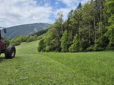 Grünland gemäht mit Traktot .jpg © Nothnagel/LKÖ