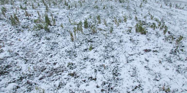 gefrorener schneebedeckter Boden.jpg © BWSB/Hölzl