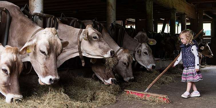 Urlaub am Bauernhof.jpg © Carletto
