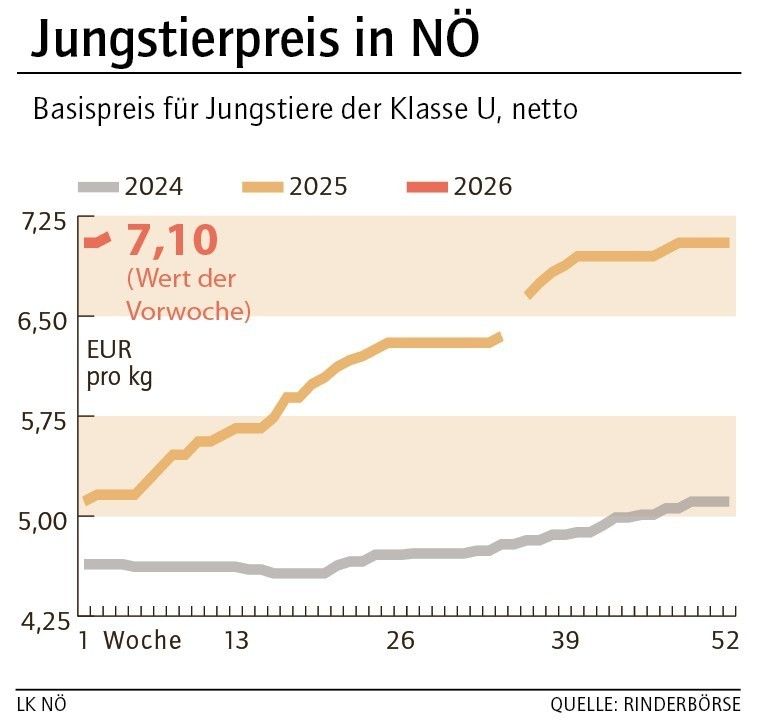 Grafik Stierpreis 04_2026.jpg © LK NÖ