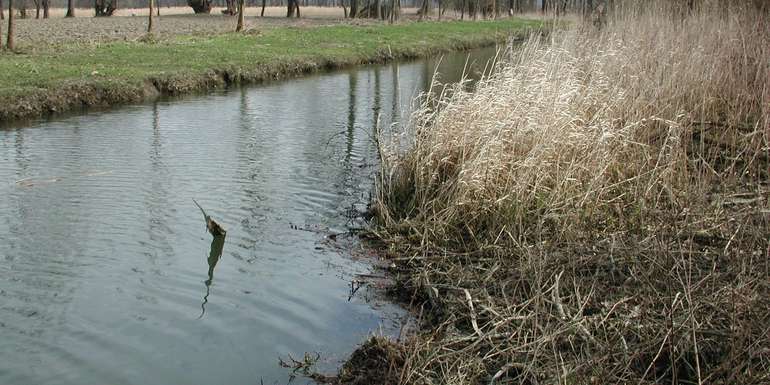 Randstreifen.jpg © BWSB/Hölzl