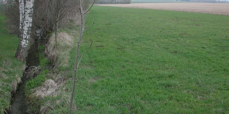 Randstreifen.jpg © BWSB/Hölzl