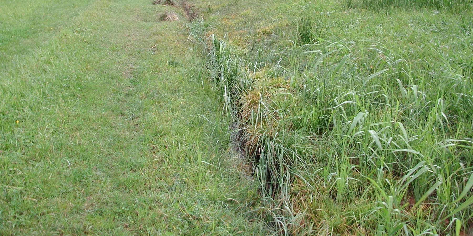 Gewässer.jpg © BWSB/Hölzl