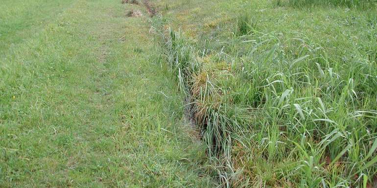 Gewässer.jpg © BWSB/Hölzl