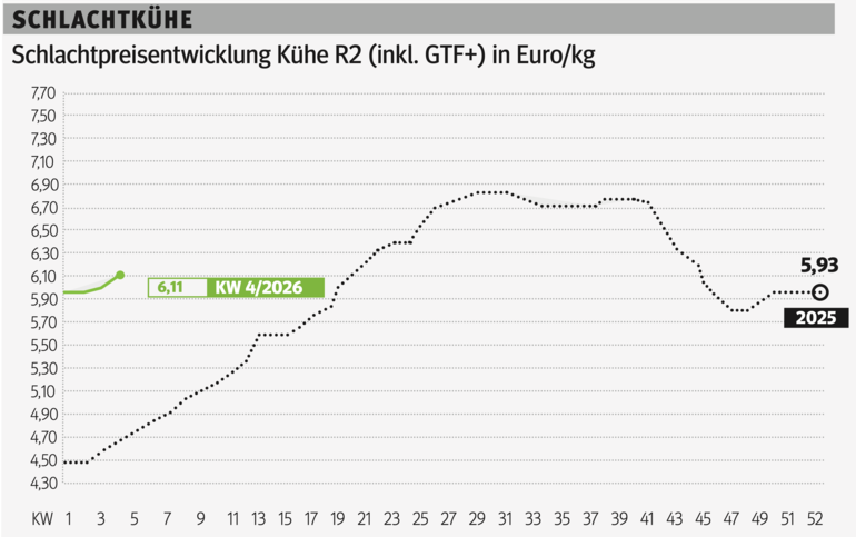 Schlachtkuhgrafik KW 4.png © Grafik RZV