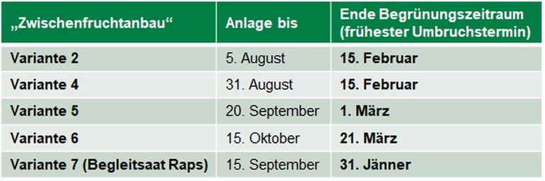 Begrünungsvarianten.jpg © LK OÖ/Mandl